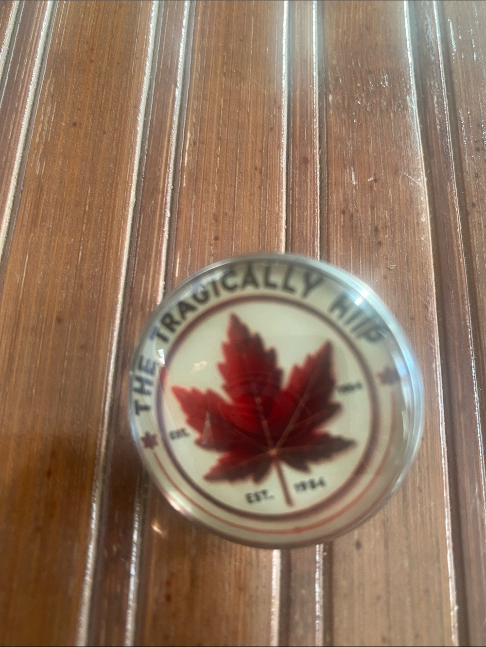 Canadian Rockers The Tragically Hip Lapel Pin ( 352 )